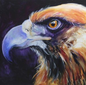 eagle eye, supernatural colours, eyes to see
