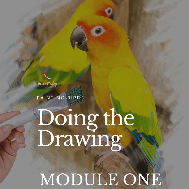 Painting Birds Module 1: Doing the Drawing