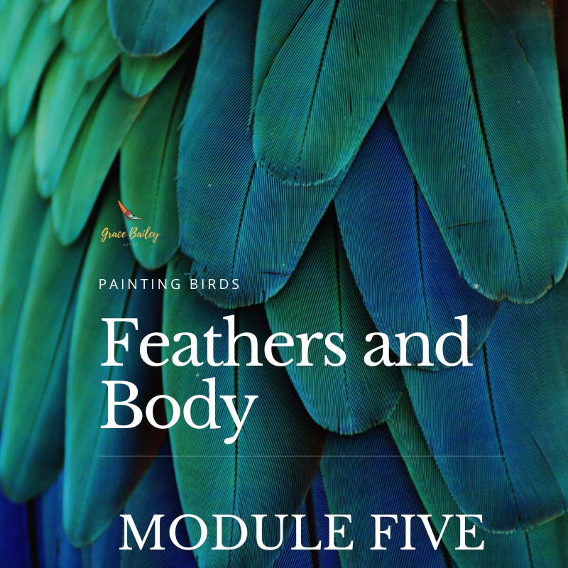 Painting Birds Module 5: Feathers and Body