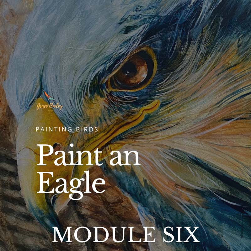 Painting Birds Module 6: Paint an Eagle