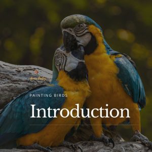 Painting Birds: Introduction