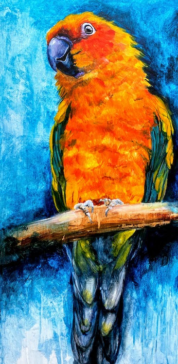 Parrot by Grace Bailey artist