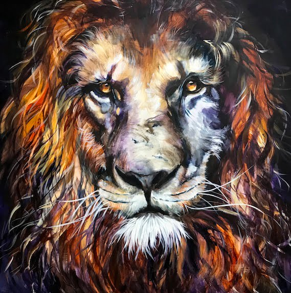 scarred lion, Resilience, lion, lions, Jesus, Lion of Judah, King of the Jungle, bravery, power