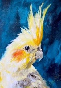 Cockatiel, $600Au, Acrylic, 75cm x 50cm