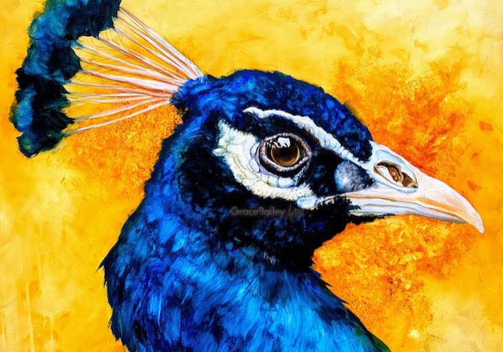 Prophetic art Peacock