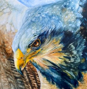 Eagle, $1900Au, 75cm x 75cm, acrylic