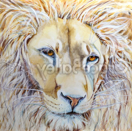 love, lion, lion painting, lion of Judah, king of the jungle