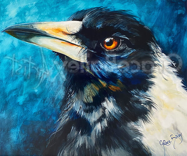 magpie, bird, magpie bird painting